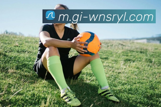 威尼斯人官网平台生态图