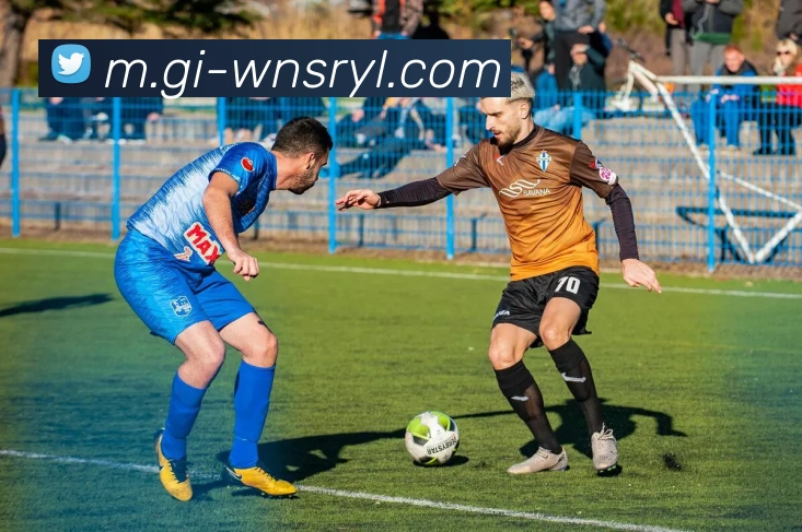 威尼斯人官网APP 封面图